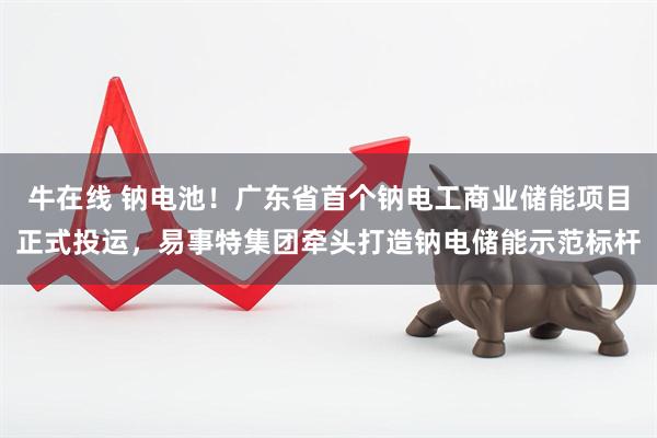 牛在线 钠电池！广东省首个钠电工商业储能项目正式投运，易事特集团牵头打造钠电储能示范标杆