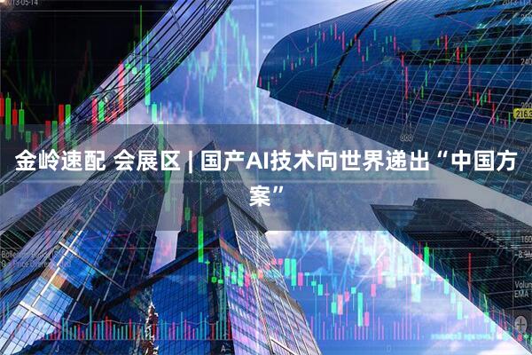 金岭速配 会展区 | 国产AI技术向世界递出“中国方案”