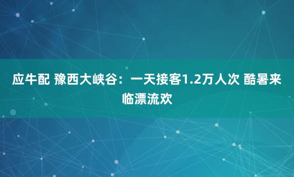 应牛配 豫西大峡谷：一天接客1.2万人次 酷暑来临漂流欢