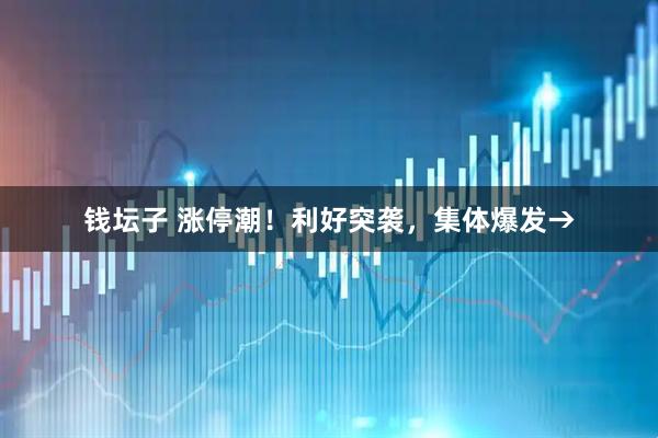 钱坛子 涨停潮！利好突袭，集体爆发→