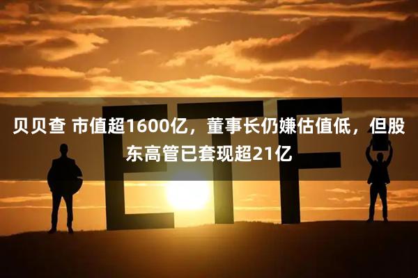 贝贝查 市值超1600亿，董事长仍嫌估值低，但股东高管已套现超21亿