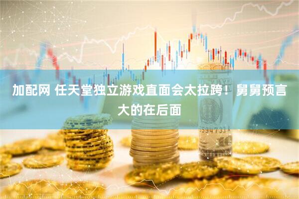 加配网 任天堂独立游戏直面会太拉跨！舅舅预言大的在后面