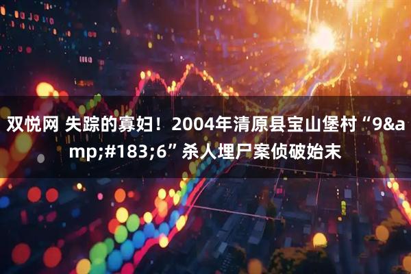 双悦网 失踪的寡妇！2004年清原县宝山堡村“9&#183;6”杀人埋尸案侦破始末